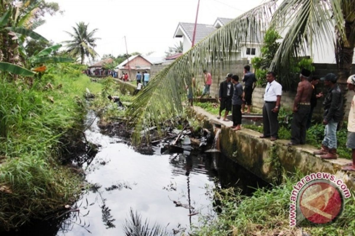 Keanekaragaman hayati ditengah ancaman kerusakan lingkungan 