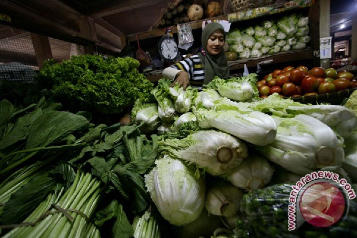 Harga sayuran di Bogor naik