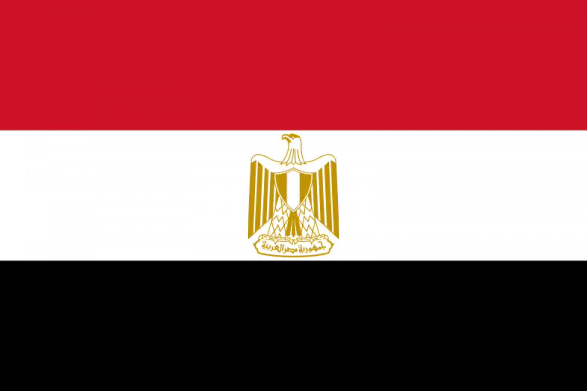 Warga Mesir di luar negeri antusias referendum