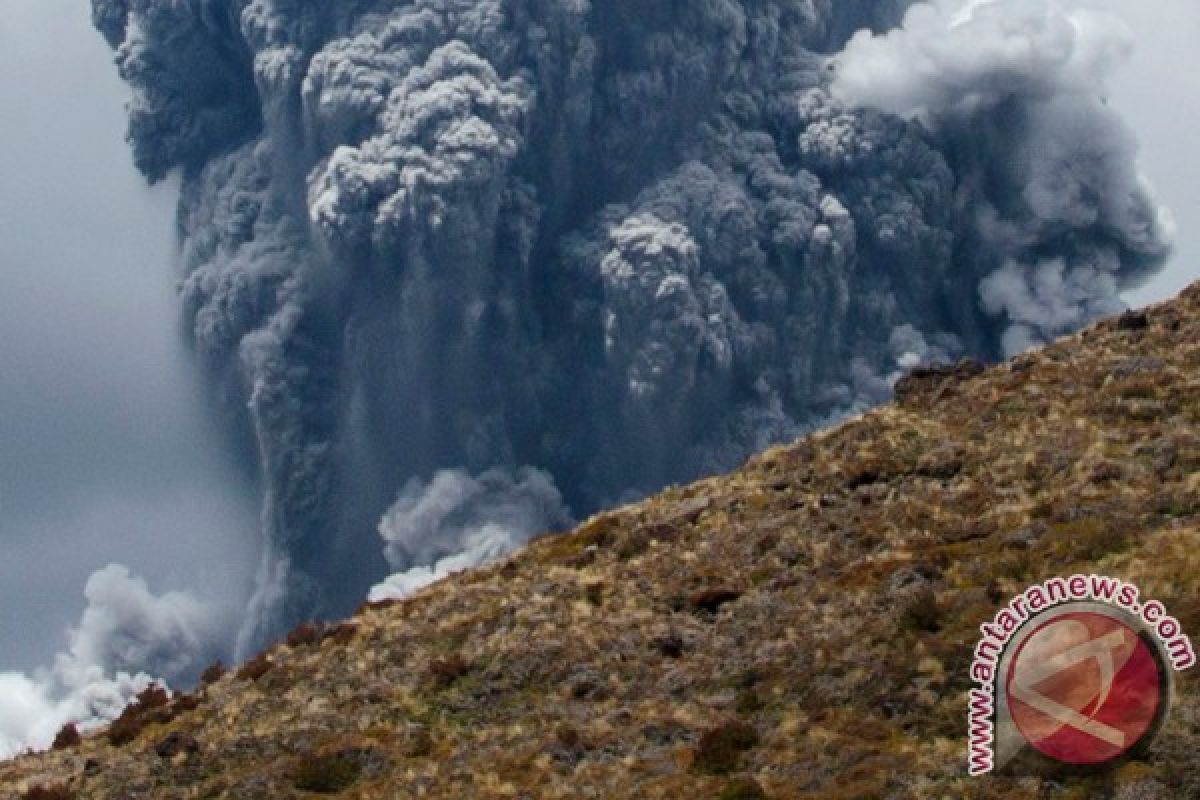 Gunung berapi White Island di Selandia Baru meletus, beberapa cedera