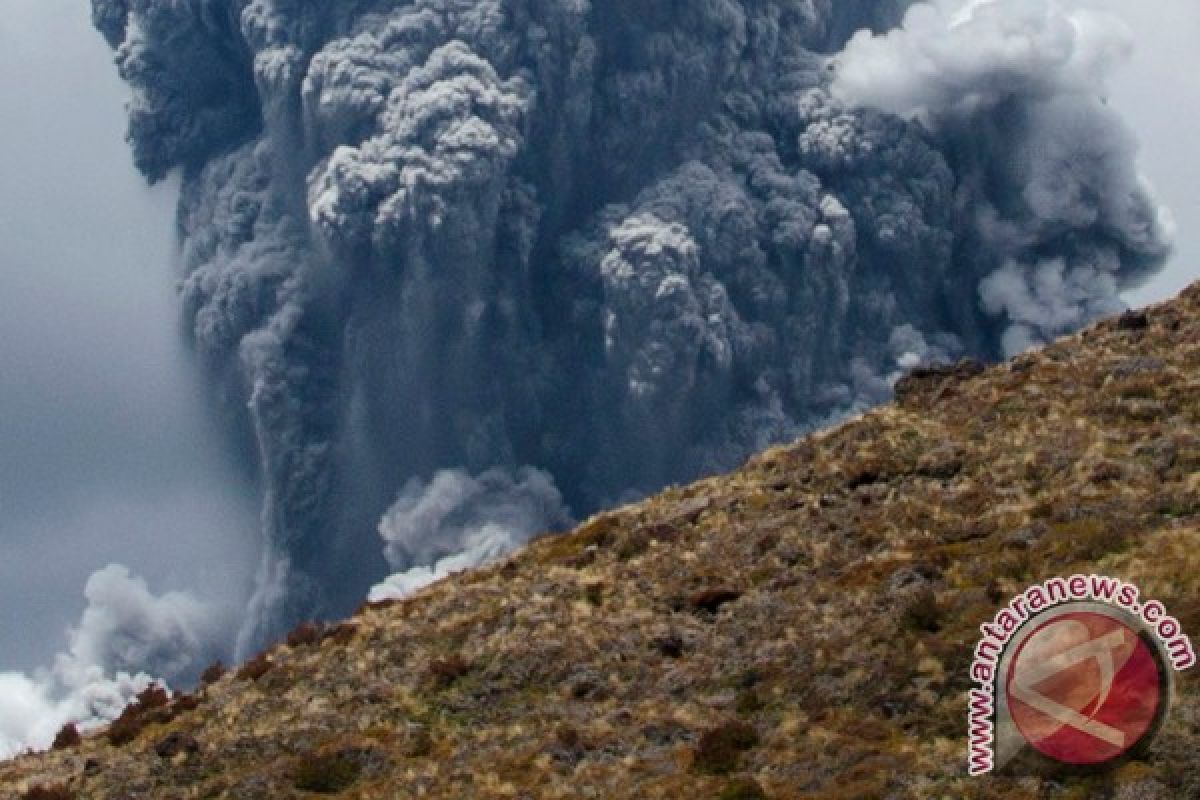 Gunung White Island di Selandia Baru meletus, beberapa cedera