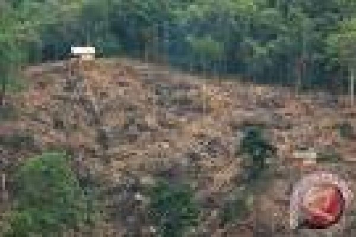 DPRD Dorong Pemkab Serius Sikapi Kerusakan Hutan