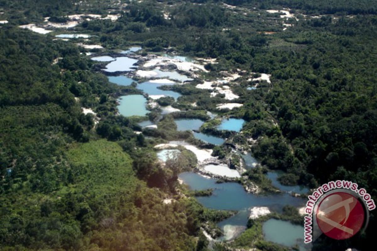 16.869 hektare hutan lindung Bangka Selatan kritis