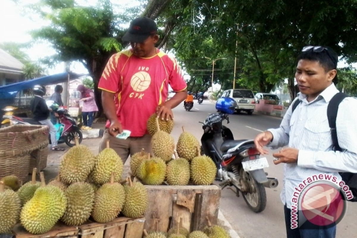Pedagang musiman bisa jual ribuan durian 