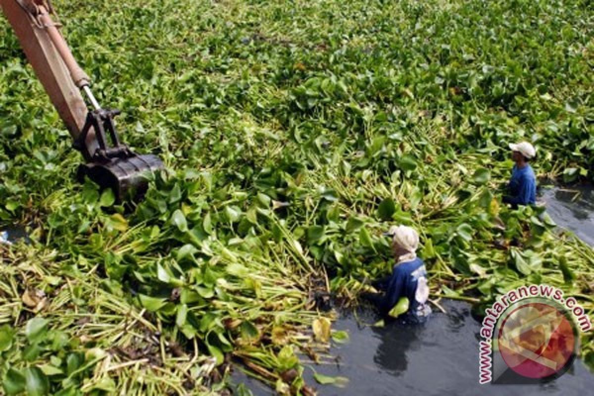 Enceng Gondok tutupi 70 persen Danau Limboto