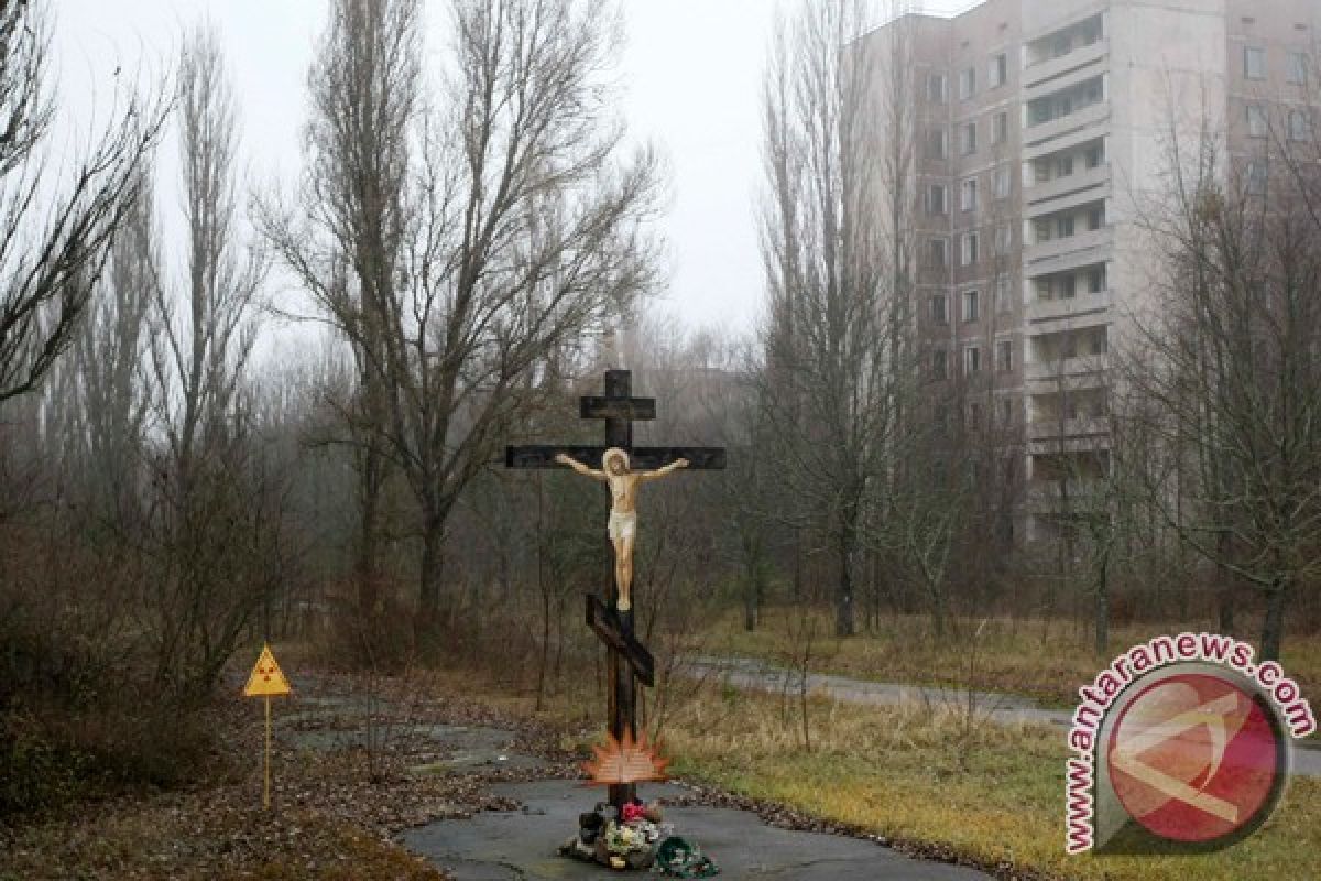 Kebakaran hutan dekat area Chernobyl berhasil dipadamkan