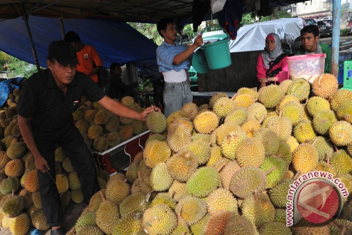 Durian Pagaralam "banjiri" pasar Kota Palembang