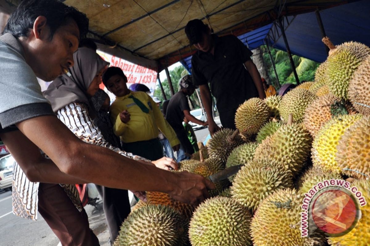 Durian Bangka diminati pasar karena rasa yang khas 