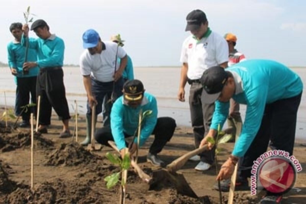 Kelompok wisata mangrove Jangkaran gelar Labuhan Samudro 