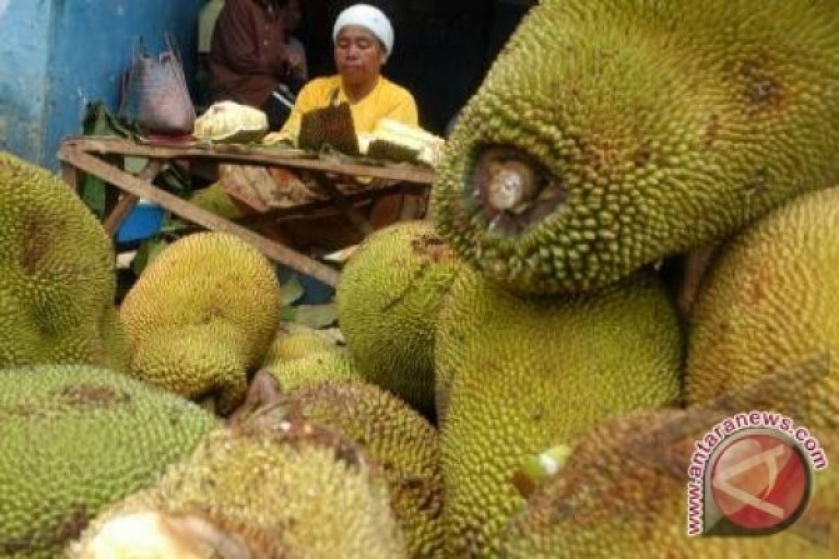 Nangka Mirip Wajah Manusia