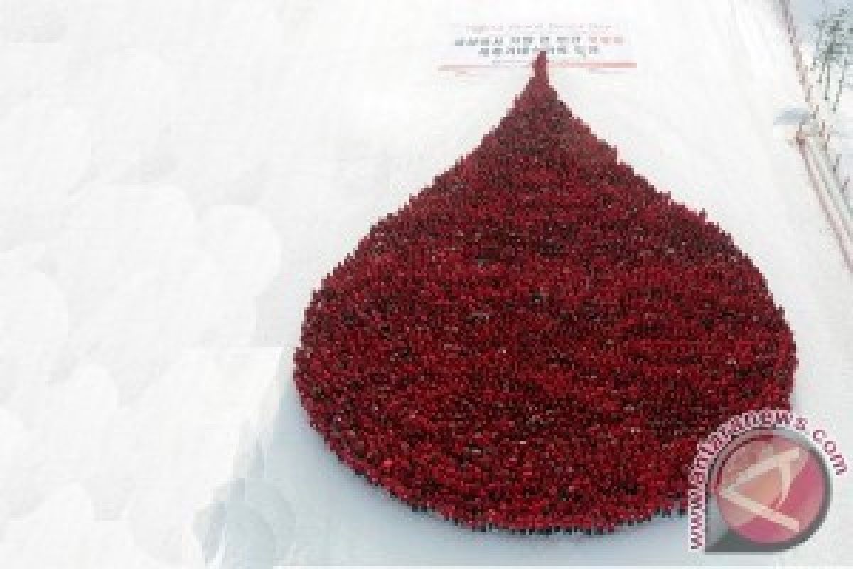 Darah Menstruasi Bisa Selamatkan Nyawa Manusia