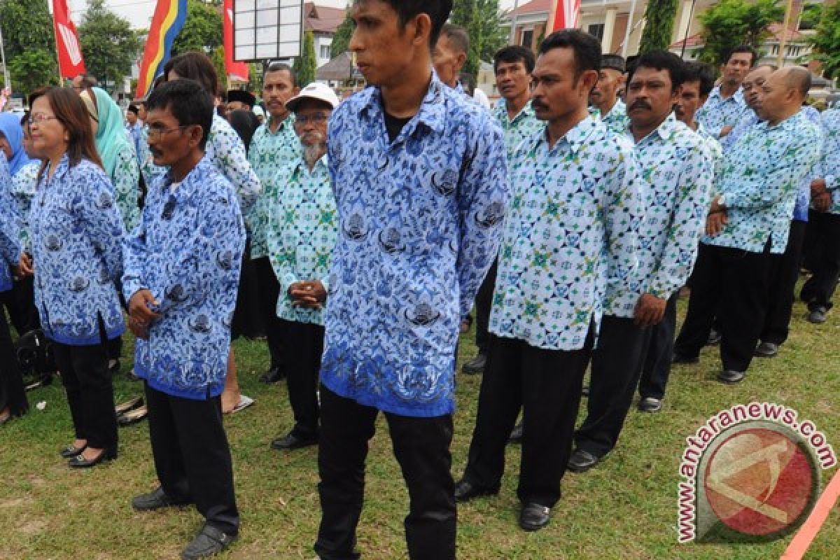 Ribuan honorer Kotabaru menjadi tenaga non-PNS