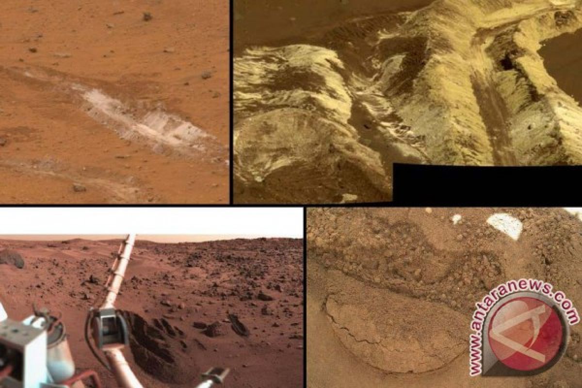 Curiosity temukan senyawa organik di Mars