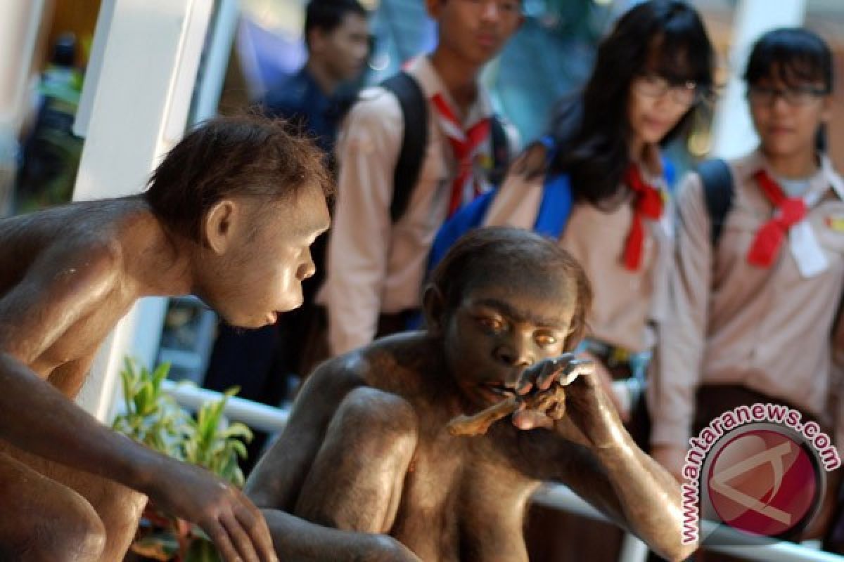 Mayoritas fosil manusia purba Indonesia ada di Belanda