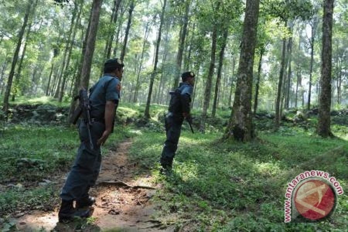 BPHP Gelar Pembekalan Pengamanan Hutan