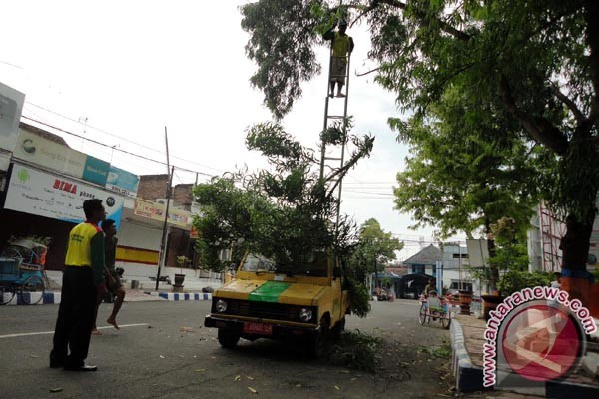 Angin kencang disebut BPBD Bojonegoro Jatim harus diwaspadai sampai April 2019