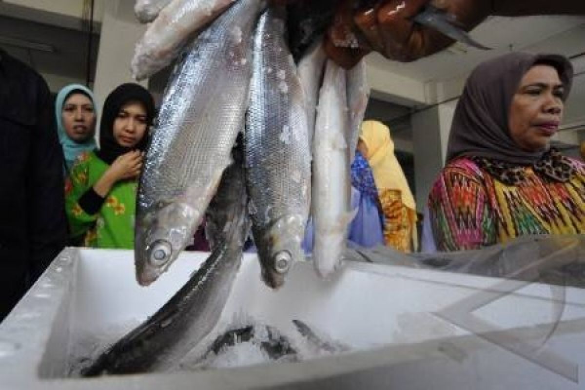 W Sumatra Targets 242,314 Tons of Aquaculture Production 