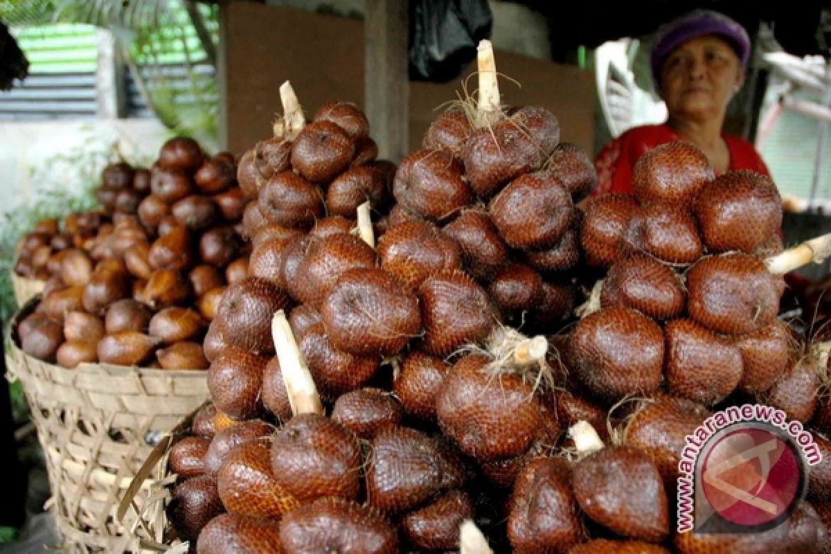 Minahasa Tenggara serius kembangkan produk lokal