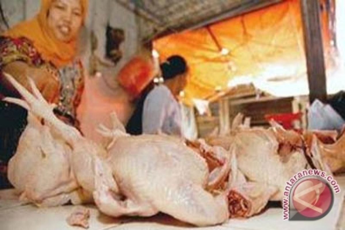 Harga Daging Ayam Di Buntok Bertahan 