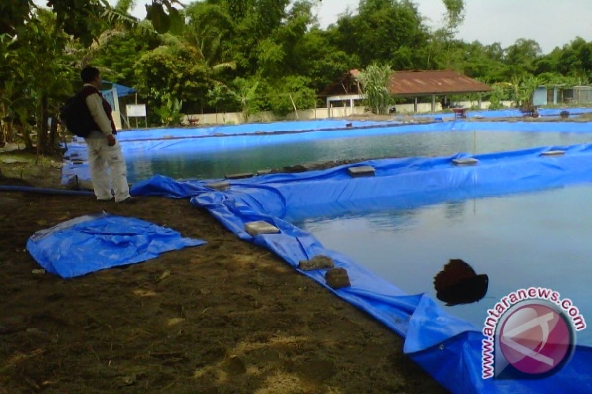 Kulon Propo kembangkan sentra ikan di Nanggulan