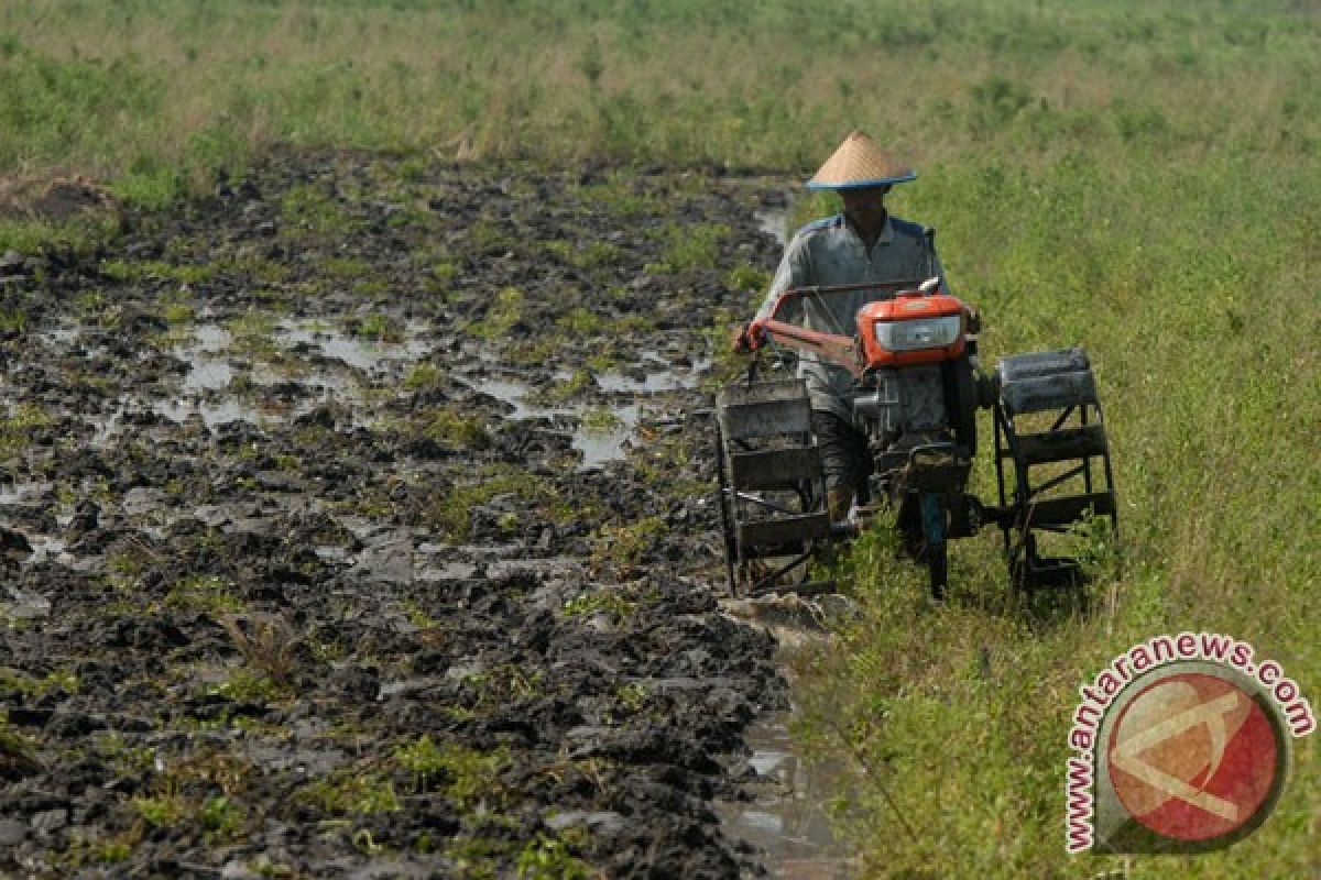 Petani Cirebon dapat bantuan ribuan traktor 