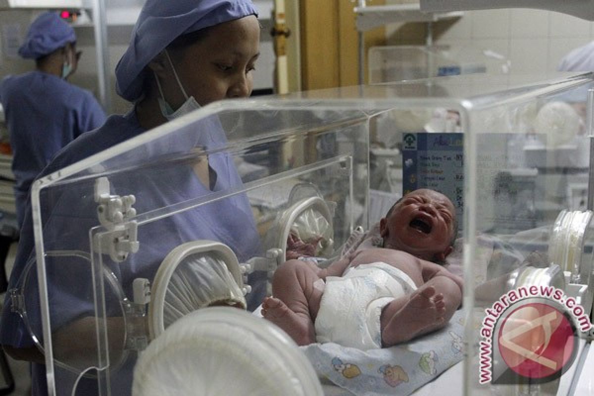 Bayi seberat 6,3 kilogram lahir di Ngabang