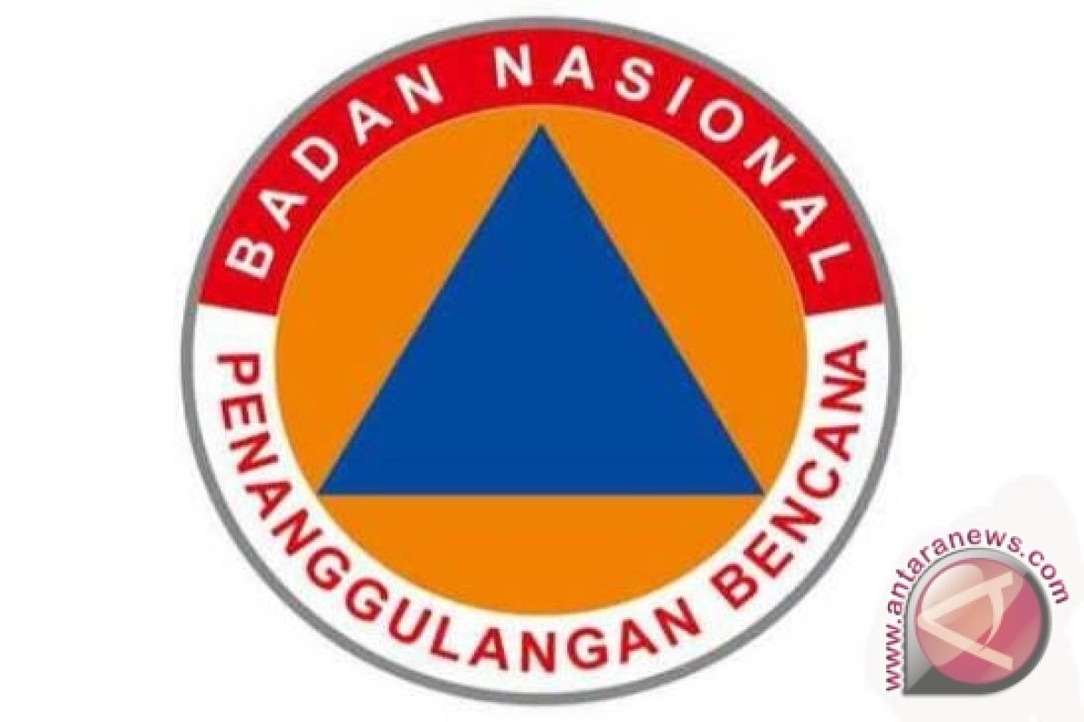 BNPB: Sumatera Ada 1.563 Titik Api dan Kalimantan 257 Titik Api
