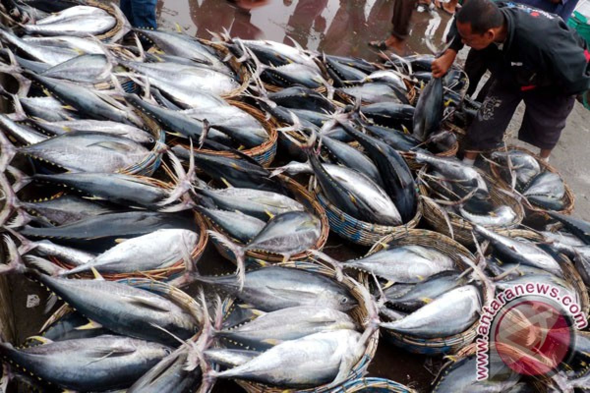 Bali`s tuna fish exports up last year