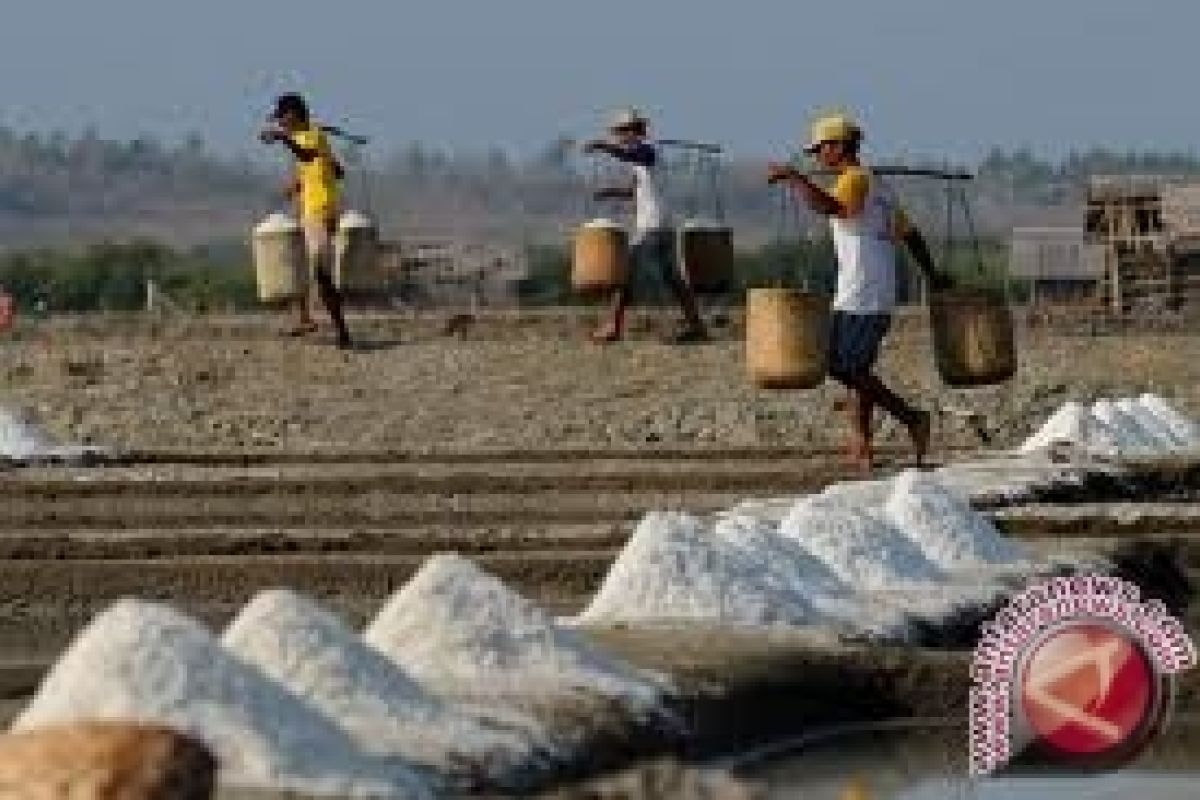 Pemerintah mengkaji teknologi piramid desalinator pembuatan garam