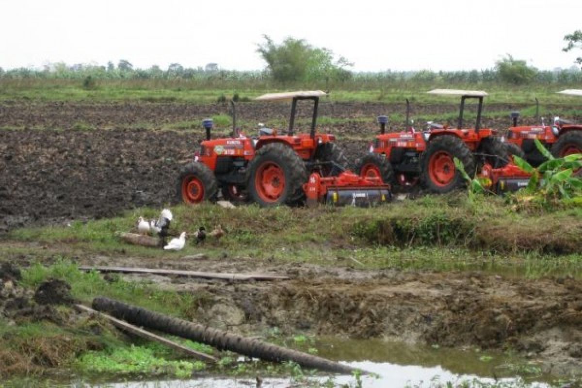 Companies eyeing Merauke integrated food and energy estate