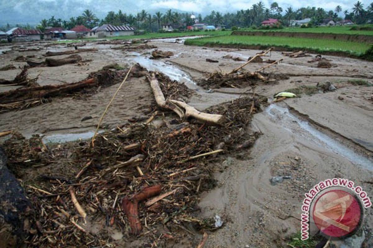 Tujuh Nagari tolak perambahan hutan di Solok Selatan