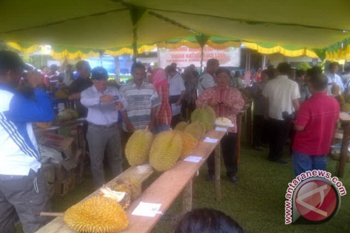 Durian Parung Raih Juara Pertama Kontes Se-kalbar 