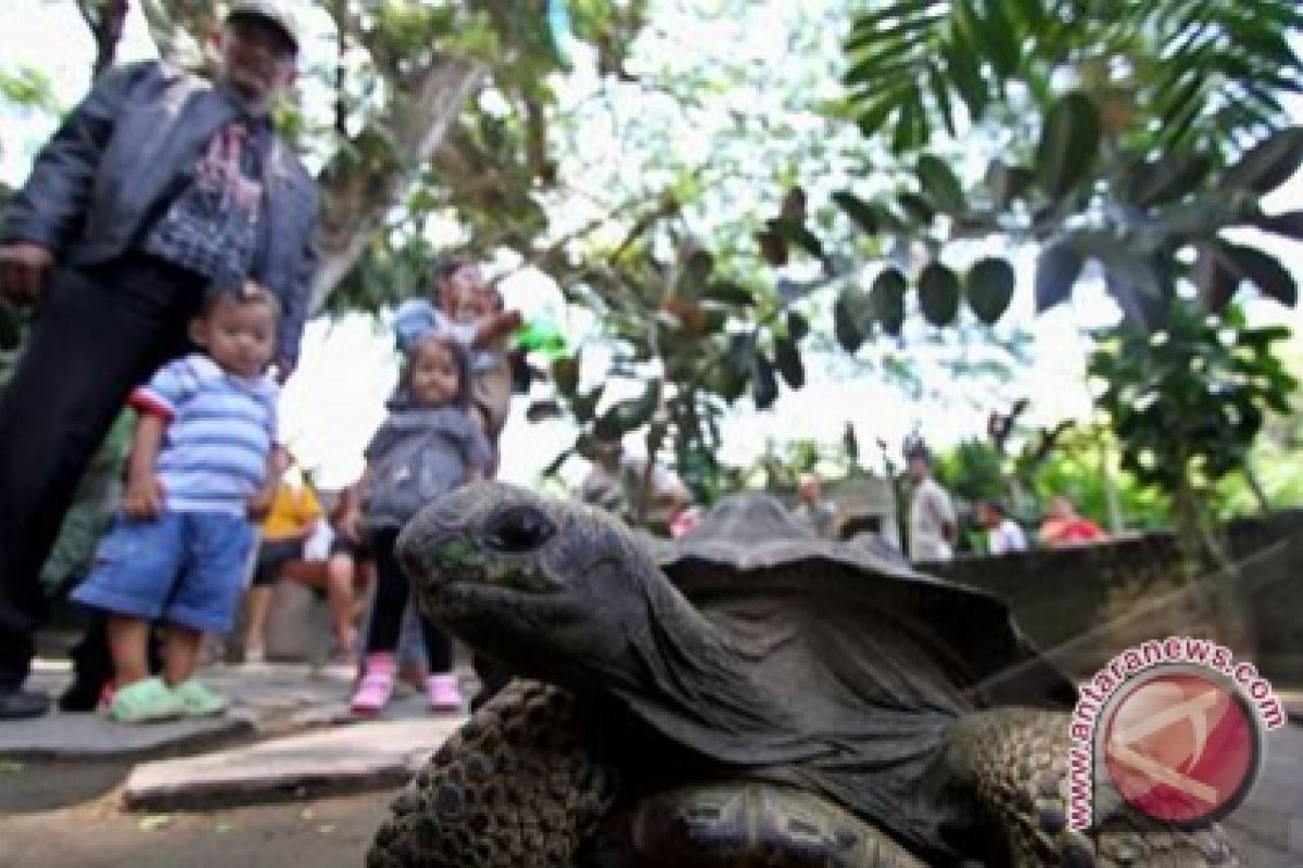 Ribuan wisatawan kunjungi Gembira Loka Zoo 