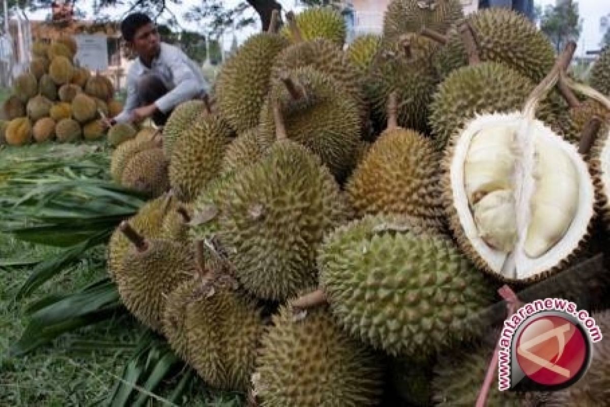 Benarkah bawa durian dalam penerbangan tidak melanggar aturan?