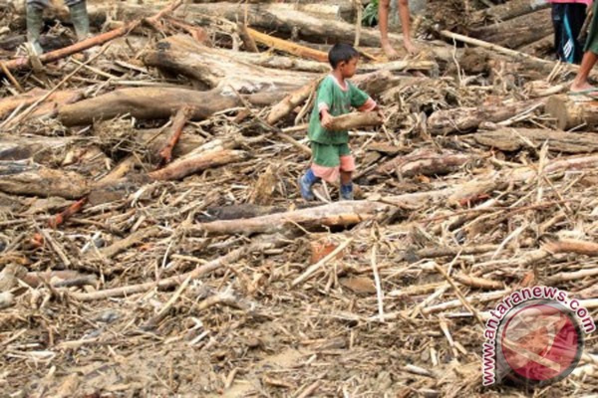 Korban banjir Langkat panen kayu gelondongan