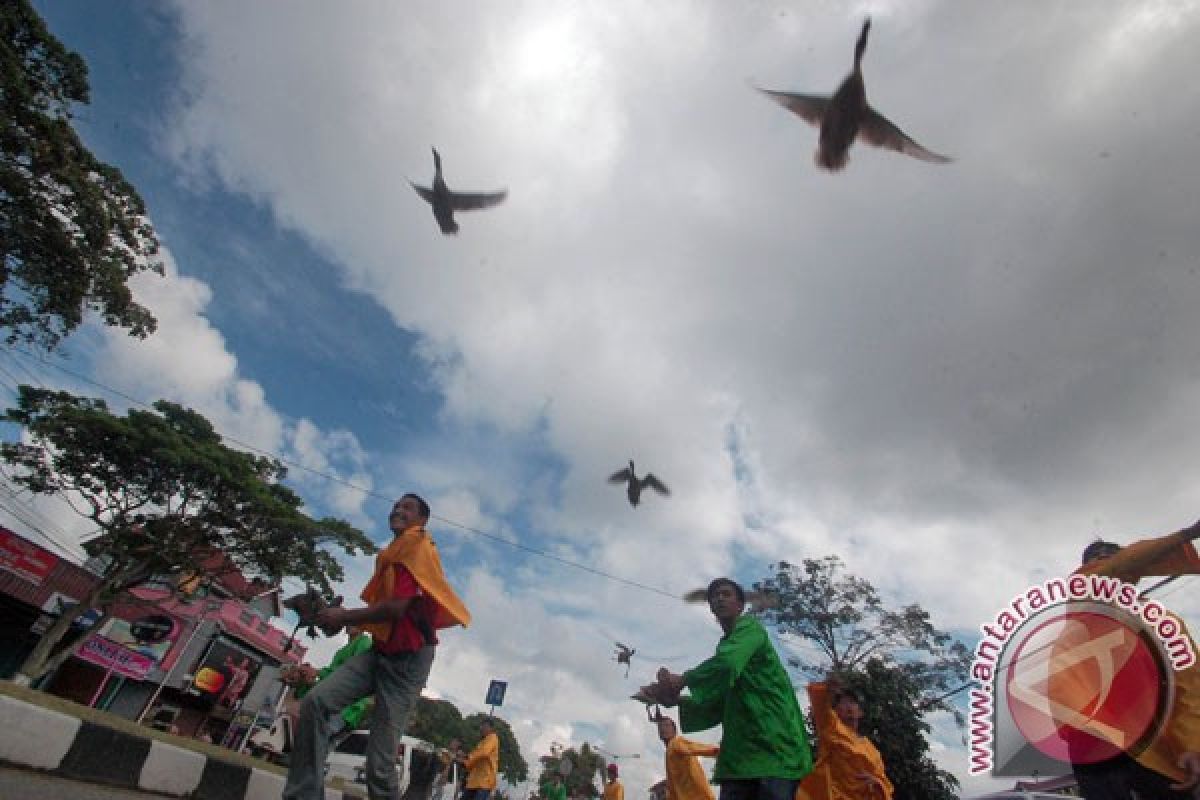 Ajang pacu itiak di Payakumbuh masuk kalender wisata Sumbar