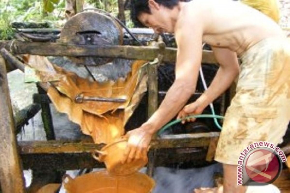 Warga Lebong tolak kehadiran perusahaan tambang emas