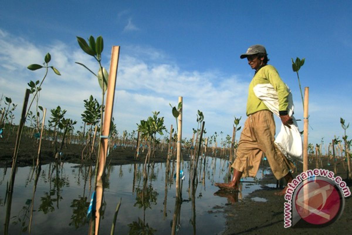 TNI buat wisata mangrove di Mukomuko