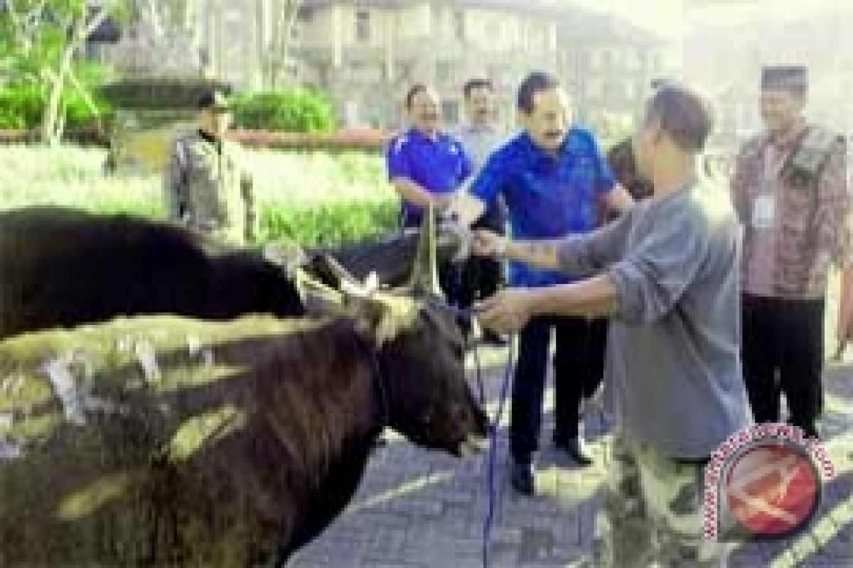 Bupati Badung Serahkan Hewan Kurban