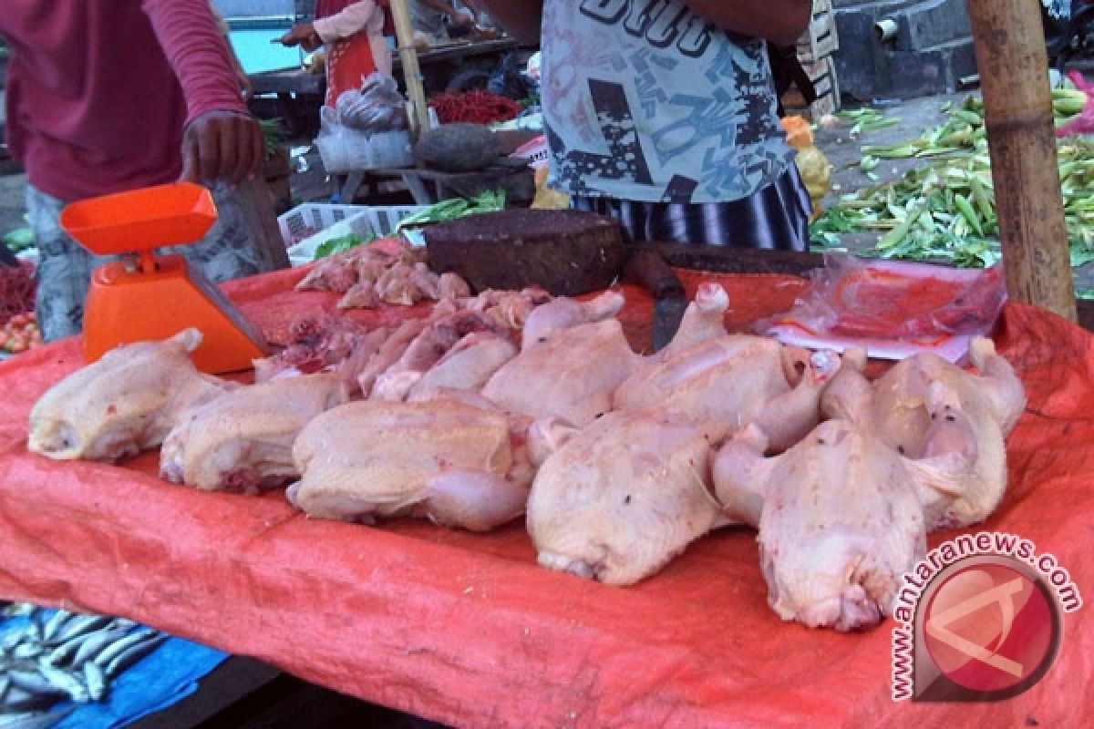 Harga ayam potong di Mukomuko rp30.000 