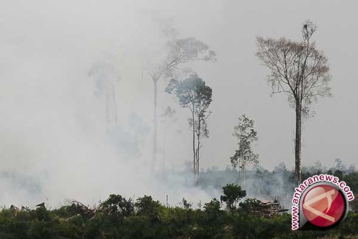 Titik Panas di Sumatera Turun