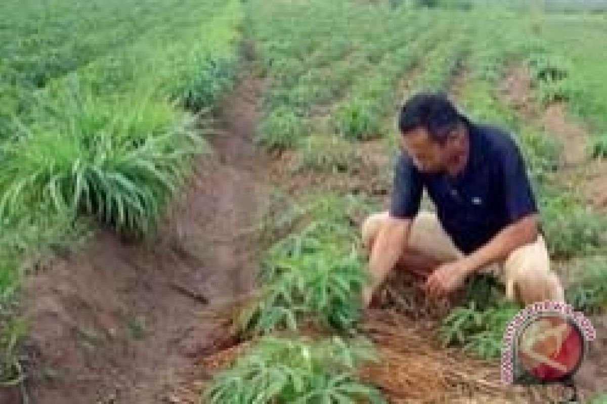 Ahli: Konsep "agrotrisula" dapat sejahterakan petani