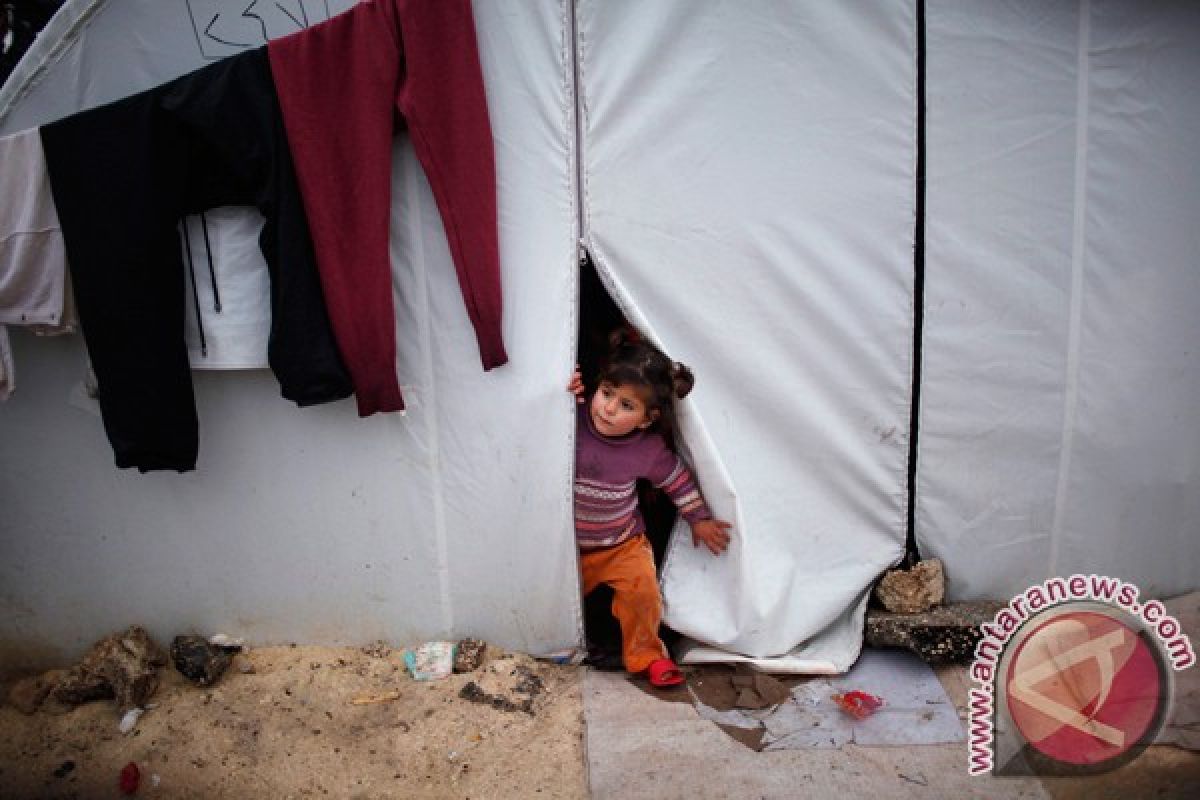 Liga Arab: kondisi pengungsi Suriah di Lebanon menyedihkan