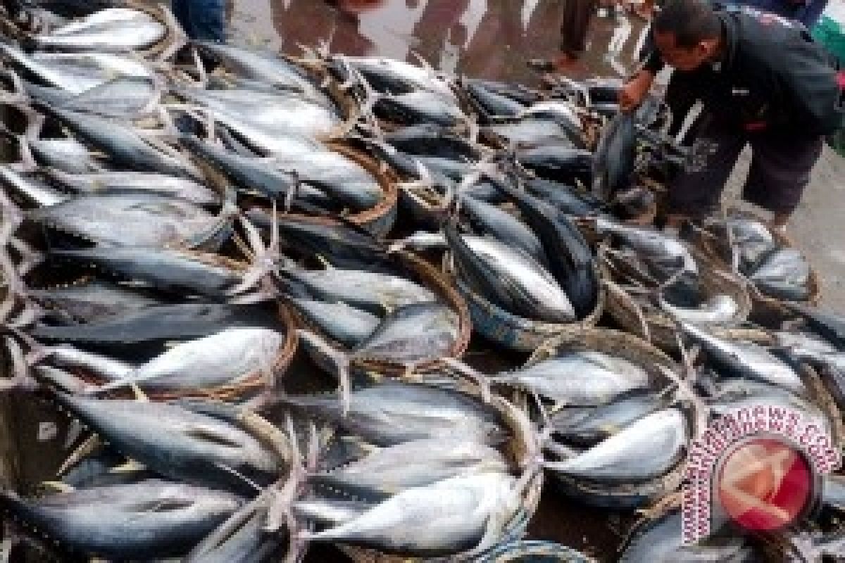 Pemkab Gorontalo Utara Genjot Produksi Tuna