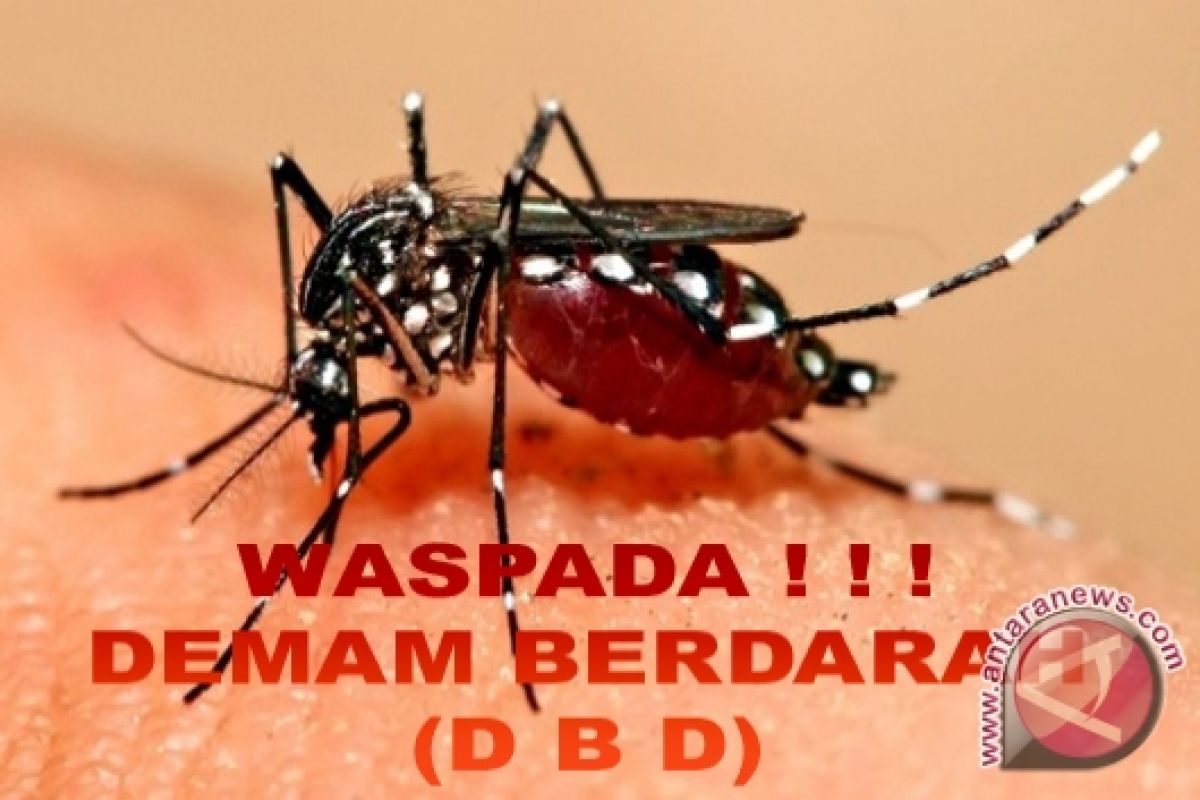 Demam berdarah dengue menyerang warga Barsel