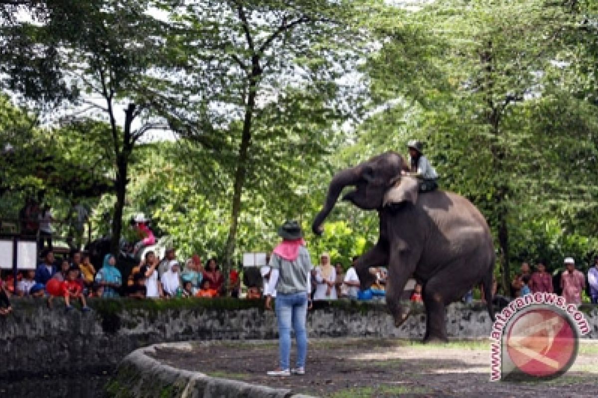 GLZoo andalkan satwa terampil selama libur panjang 