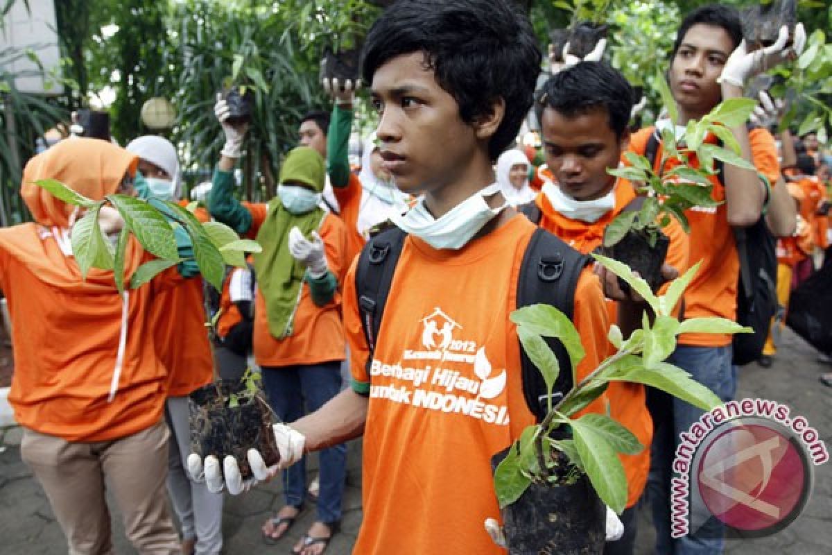 Menghias pekarangan dengan tanaman obat