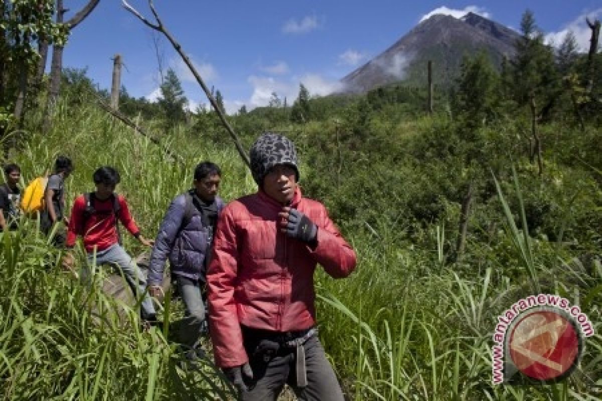 SAR berhasil evakuasi dua pendaki Merapi tersesat 