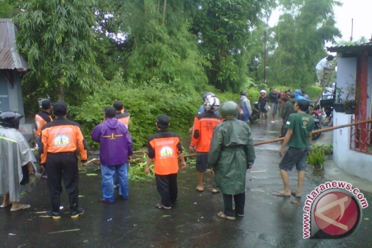 BPBD Gunung Kidul imbau masyarakat memangkas pohon