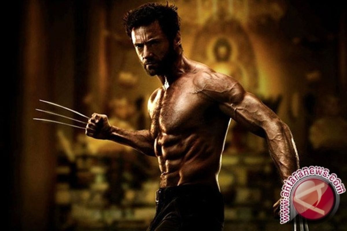  "Wolverine" Puncaki Box Office